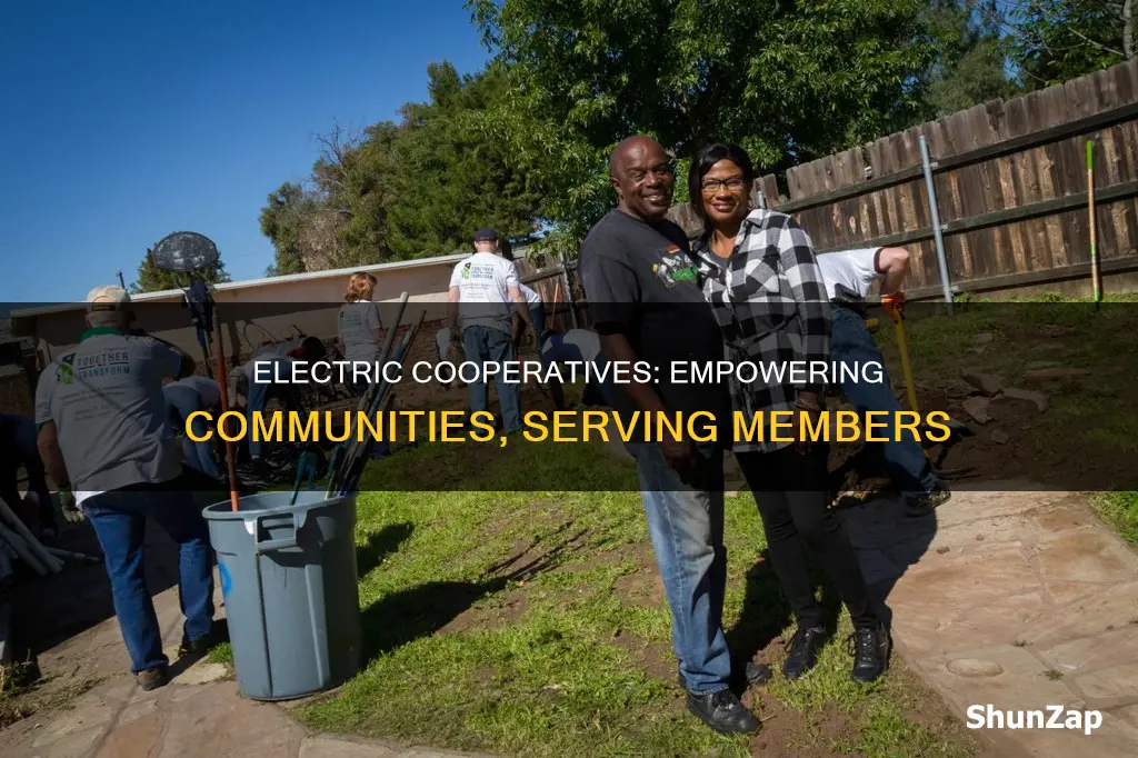 how do electric cooperatives serve their comm