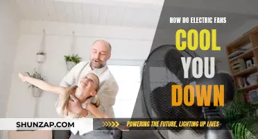 Electric Fans: A Cooling Breeze Explained