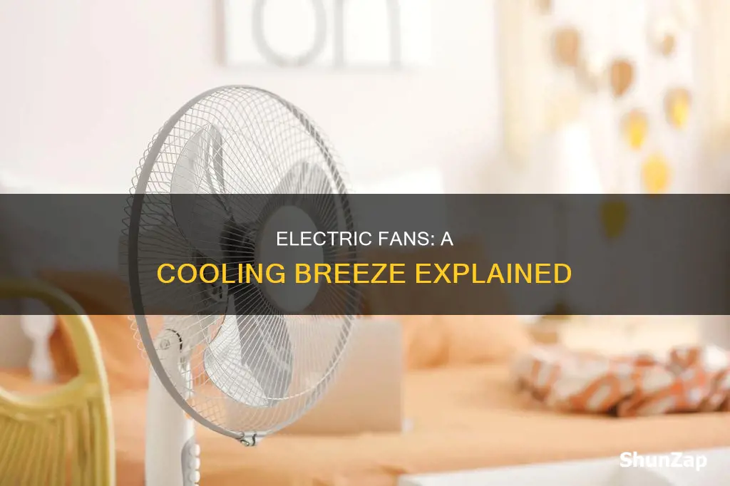 how do electric fans cool you down