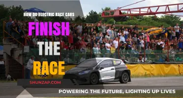 Electric Race Cars: Strategies for Completing the Finish Line