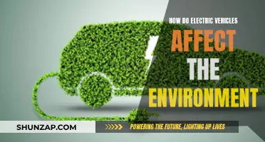 Green Machines: Unveiling EV's Environmental Impact