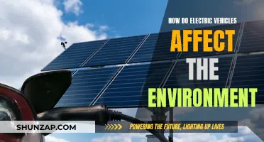Electric Vehicles: Environmental Impact and the Future