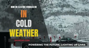 Cold Weather Challenges for Electric Vehicles: Performance and Range