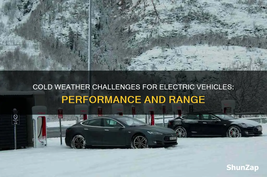 how do electric vehicles do in cold weather