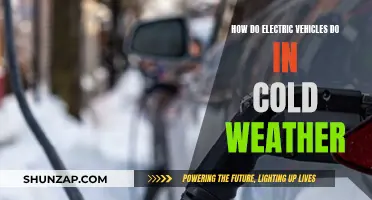 Cold Weather and Electric Vehicles: Impact and Performance