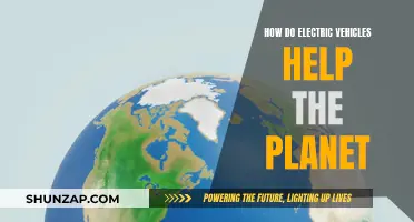 Green Revolution: Electric Vehicles' Impact on Earth's Future