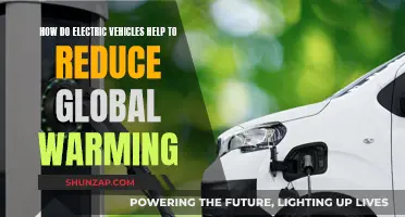 Electric Vehicles: Fighting Global Warming, One Mile at a Time