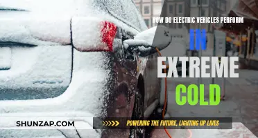 Cold Weather's Impact on Electric Vehicle Performance: A Comprehensive Guide