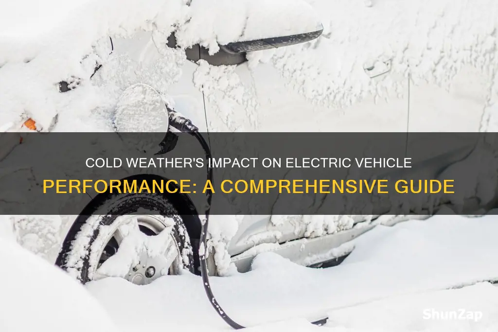 how do electric vehicles perform in extreme cold