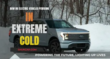 Cold Weather and Electric Vehicles: Performance and Challenges