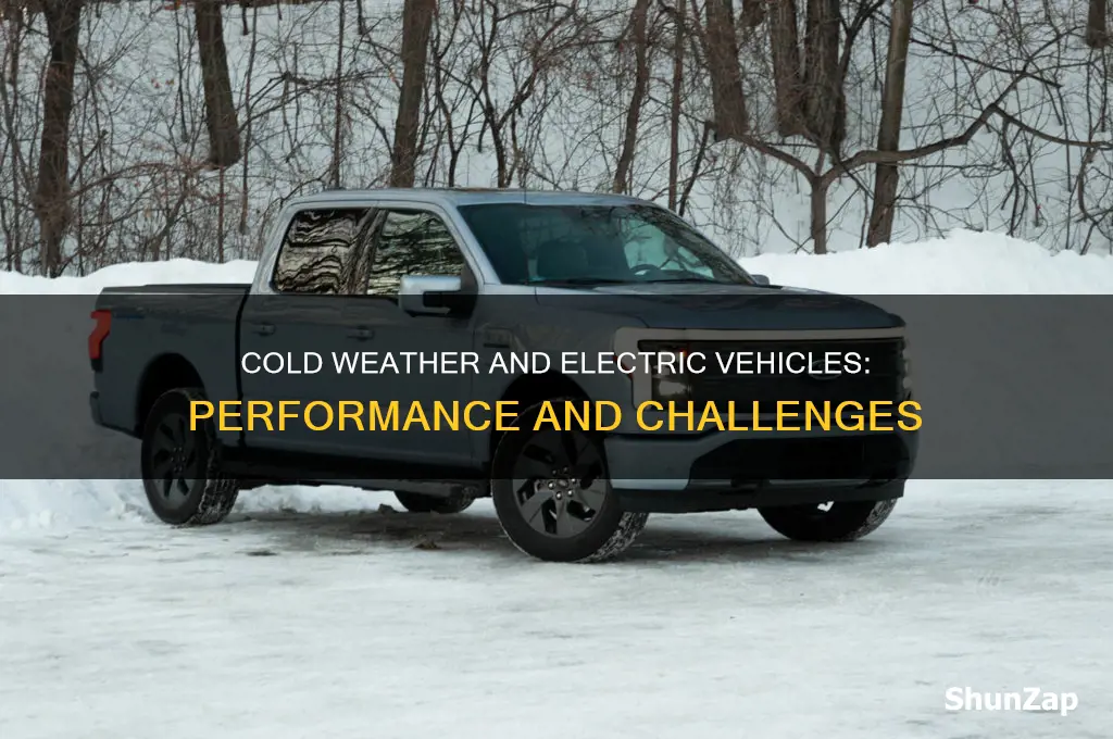 how do electric vehicles perform in extreme cold