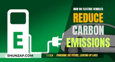 Electric Vehicles: Reducing Carbon Emissions, Saving the Planet