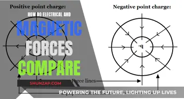 Electric and Magnetic Forces: What's the Core Difference?