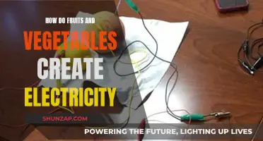 Harvesting Electricity: Fruits and Vegetables' Power Source