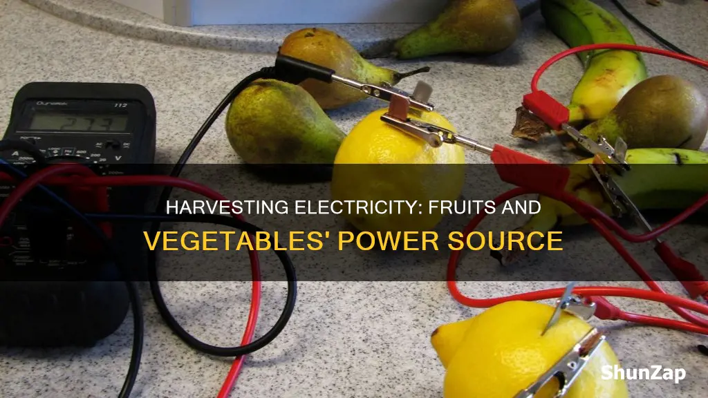 how do fruits and vegetables create electricity