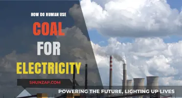 From Coal to Power: How Humans Generate Electricity with Fossil Fuels