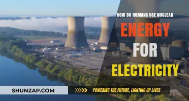 Harnessing Nuclear Power: How Humans Generate Electricity from Atomic Energy