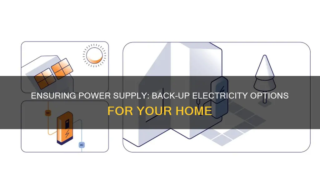 how do i back up my electricity