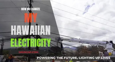 Canceling Hawaiian Electricity: A Step-by-Step Guide to Termination