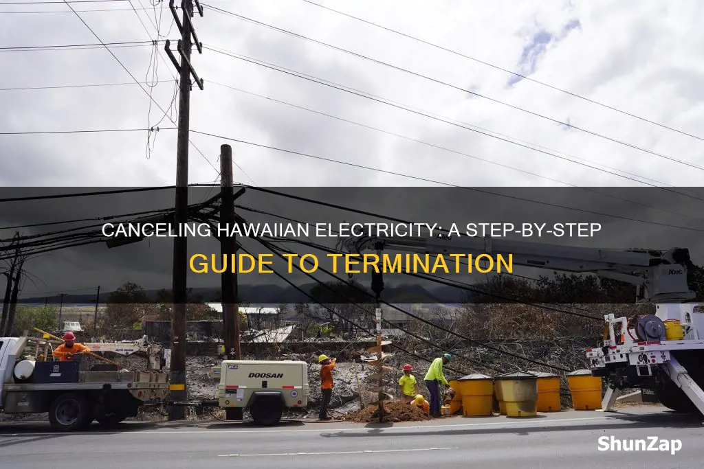 how do i cancel my hawaiian electricity