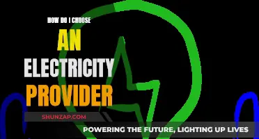 Choosing an Electricity Provider: What You Need to Know