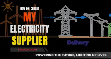 Choosing an Electricity Supplier: What You Need to Know