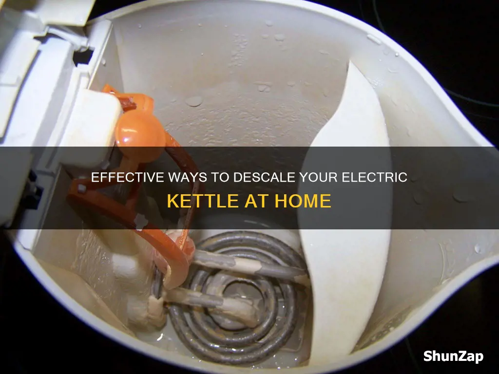 how do i descale my electric kettle