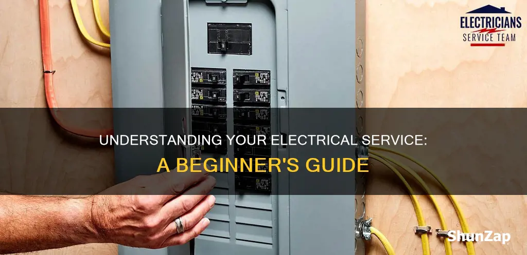 how do i determine my electrical service