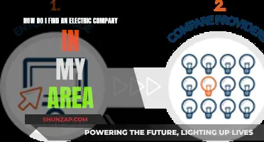 Finding Electric Companies: A Quick Local Search