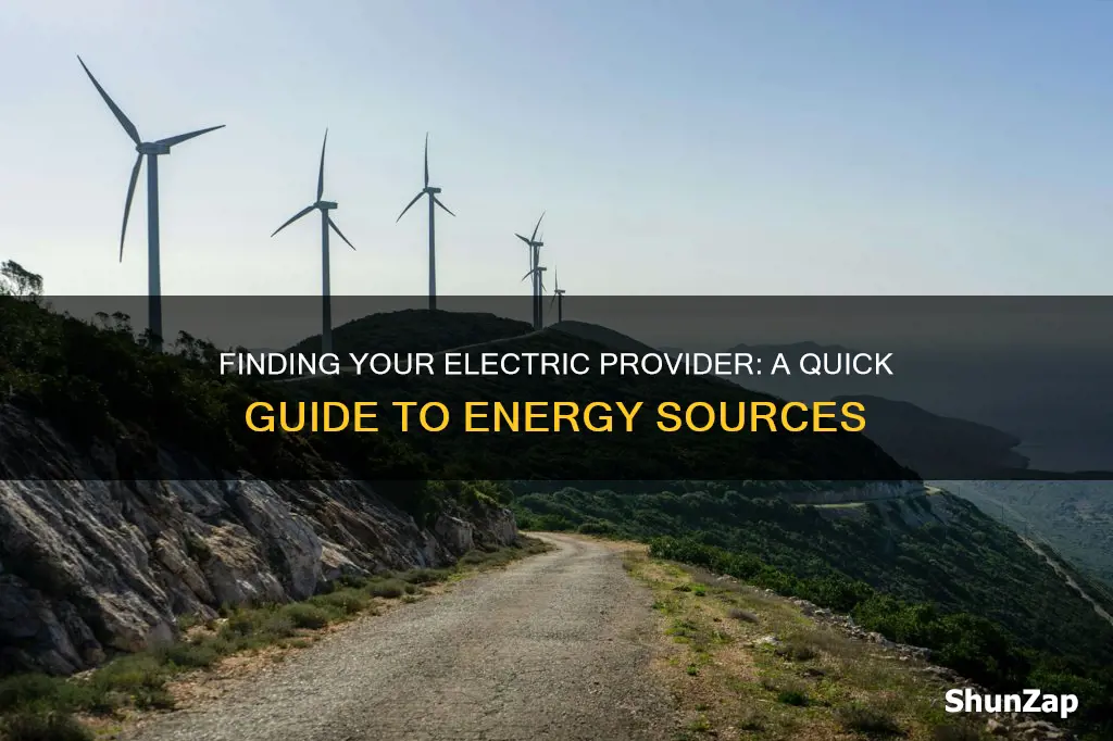 how do i find my electric provider