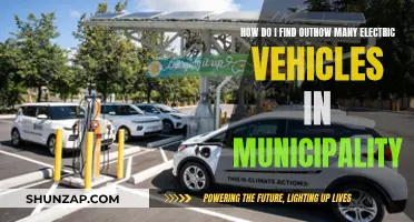 Electric Vehicle Revolution: Counting Municipality Adoption