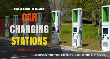 Investing in Electric Car Charging Stations: A Profitable Green Venture