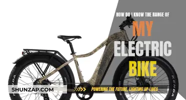 Understanding Your Electric Bike's Range: Factors and Features