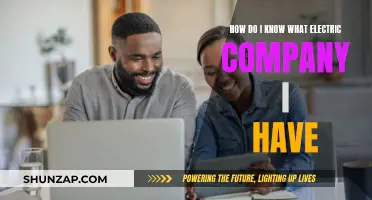 Which Electric Company Services My Address?