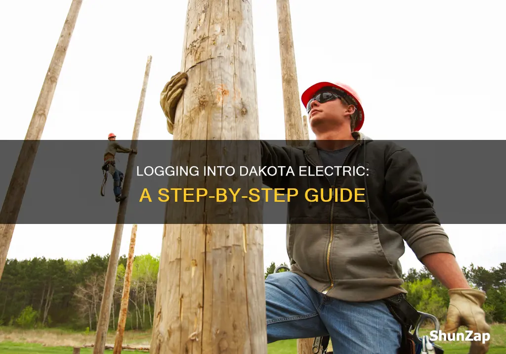 how do i log into dakota electric