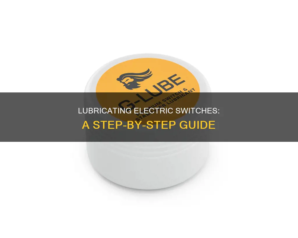 how do i lubricate an electric switch