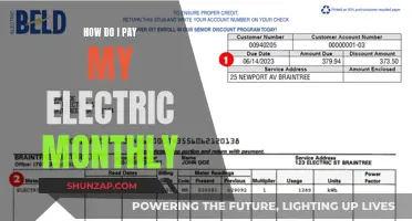 Electricity Bills: Monthly Payment Options and Money-Saving Tips