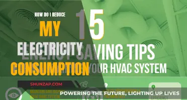 Reducing Electricity Consumption: Tips for a Lower Bill