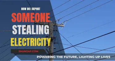 Catching Power Thieves: Reporting Electricity Theft