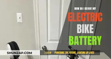 Reviving Electric Bike Batteries: Simple Steps to Restore Power