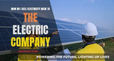 Selling Excess Power: Earning from Your Electric Company