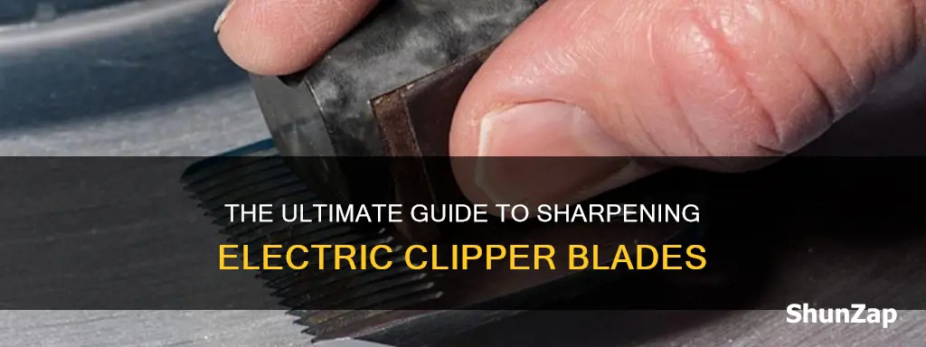 how do i sharpen electric clipper blades