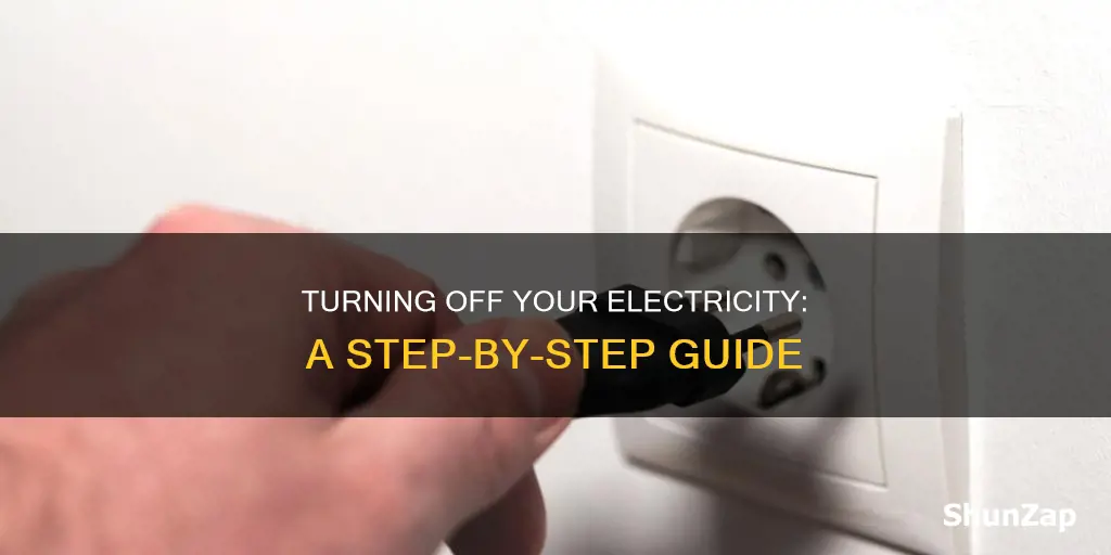 how do i shut off my electricity