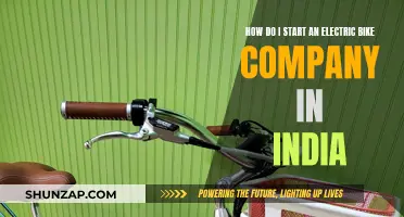 Launching an E-bike Company: Navigating India's Market