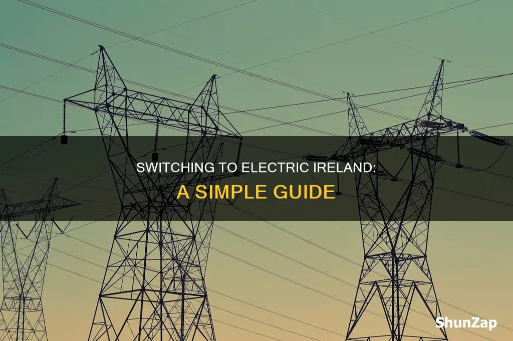 how do i switch to electric ireland