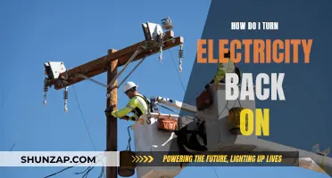 Restoring Power: A Step-by-Step Guide to Turning Electricity Back On