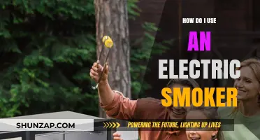 Mastering Electric Smoking: A Beginner's Guide to Perfect BBQ Results