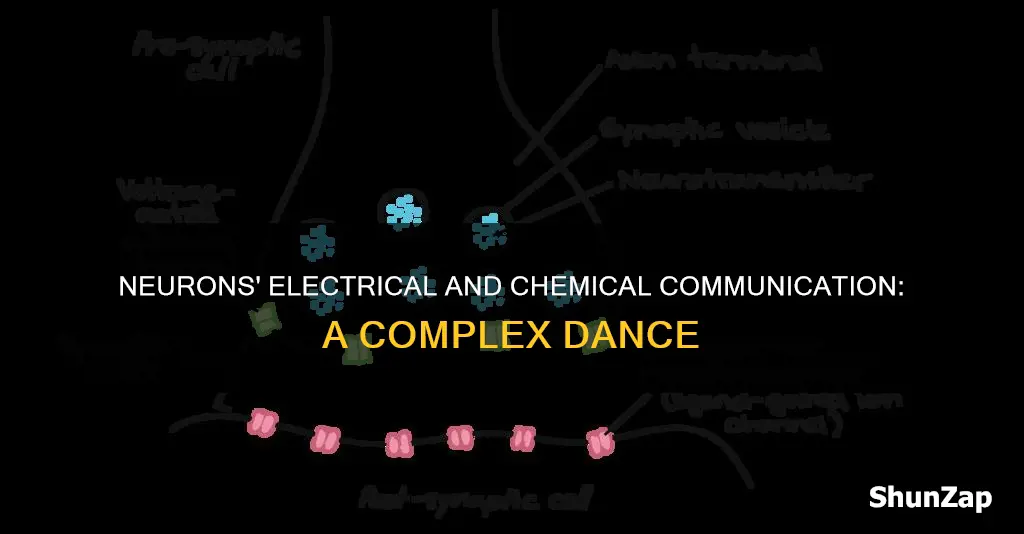 how do neurons communicate electrically and chemically