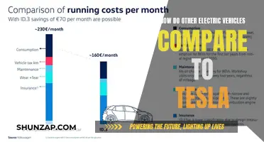 Unveiling the Electric Vehicle Landscape: Tesla's Competition Revealed