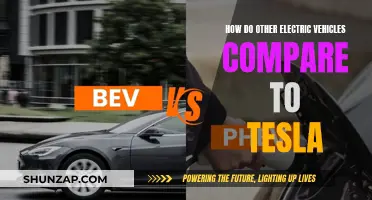 Electric Vehicle Face-Off: Tesla vs. The Competition